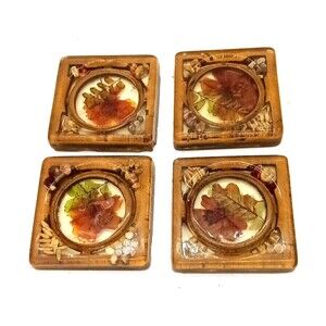 Vintage Design Gifts Set Of 4 Lucite Pressed Floral & Seeds MCM Drink Coasters